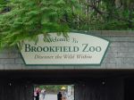 zoo picture