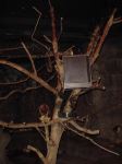 zoo picture