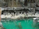 zoo picture