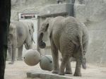 zoo picture