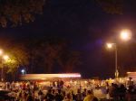 Taste of Chicago fireworks picture