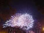Taste of Chicago fireworks picture
