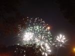 Taste of Chicago fireworks picture