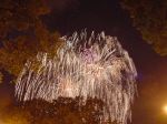 Taste of Chicago fireworks picture