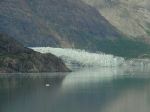 Margerie Glacier picture
