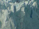 Margerie Glacier picture