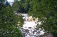 Tahquamenon Falls picture