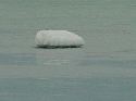 icy shore picture