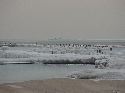 icy shore picture