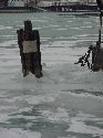 icy shore picture