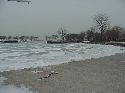icy shore picture