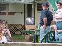 redwings cookout
