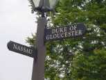 DOG Street