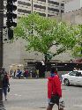 obstructed view #1